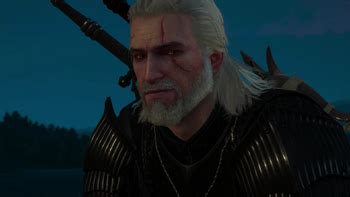 the witcher 3 tv tropes